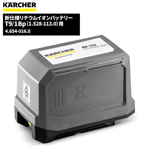 ҥ㡼 KARCHER  ।Хåƥ꡼ T9/1(1.528-113.0) 4.654-016.0 [Բ][ñ]