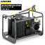  ҥ㡼 KARCHER ̳ 󥸥  ⰵ HDS1000BE ҥ㡼ý 1.811-942.0 [Բ][ñ] 11/4 20 㤤ʪޥ饽 ݥ +5