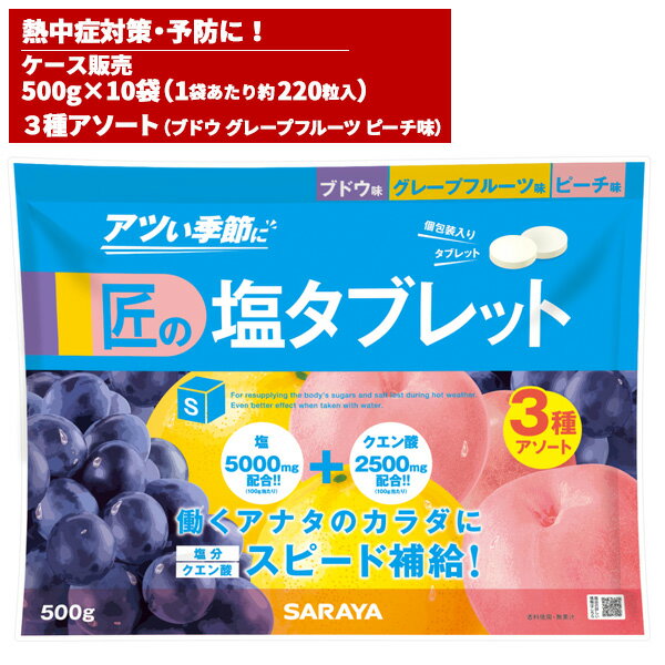 塩飴 塩あめ お試し品 業務用 国産 熱中症対策 マスク熱中症 日射病 熱中症 予防 対策 スポーツ 塩分 キャンディ 沖縄 海水 入江製菓 飴 送料無料 ポイント消化 おすすめ品