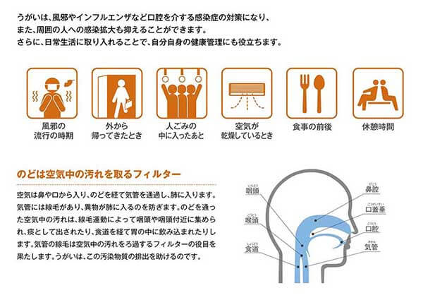 サラヤ SARAYA うがい薬コロロ 10L BIBコック別売 12830