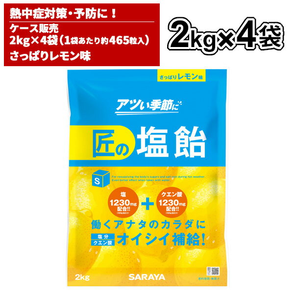 まとめ買いサラヤSARAYA匠の塩...