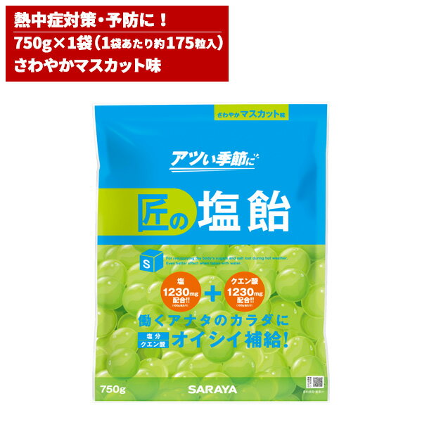 セール価格 サラヤ SARAYA 匠の塩飴 マスカット味 750g 27858 6/1 ワンダフルデー ポイント+4倍