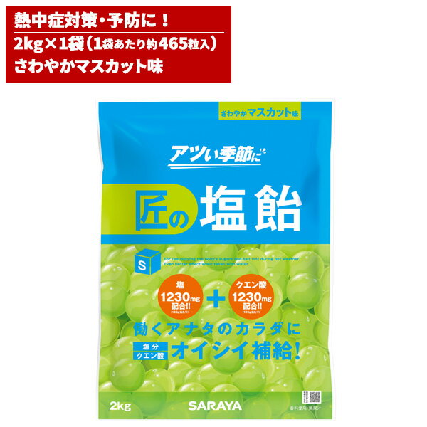 セール価格 サラヤ SARAYA 匠の塩飴 マスカット味 2kg 27859 6/1 ワンダフルデー ポイント+4倍