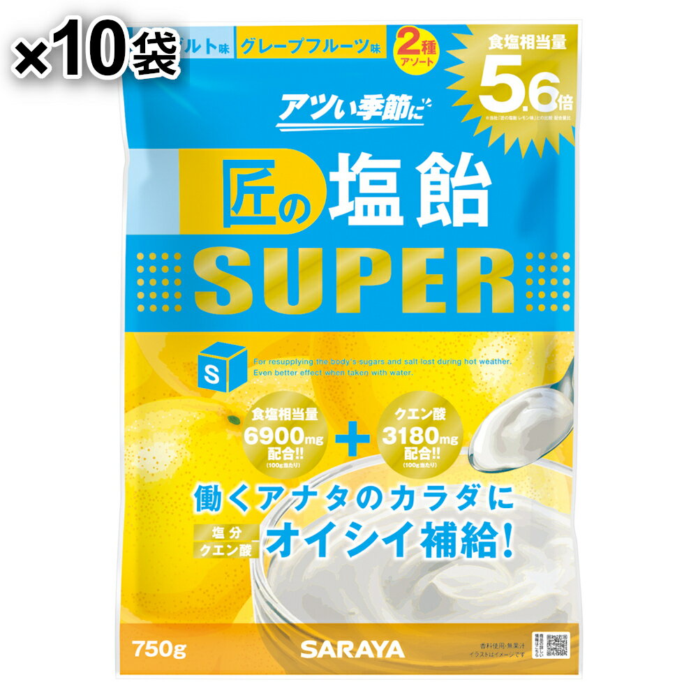 サラヤ SARAYA 匠の塩飴スーパー 2種アソート味 750g ヨーグルト味・グレープフルーツ味 10袋入 28252