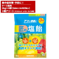  サラヤ 匠の塩飴 3種アソート味 マスカット・レモン・スイカ 2kg (4袋入 @1袋あたり 92.5) 27861