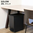 SOLOW \E y_I[vcC20L ubN LX^[t DS-218-820-7 [Piz] 5/1_tf[|Cg5{