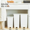 SOLOW ソロウ ペダルオープンツイン 45L 白 キャスター付 DS-218-845-8