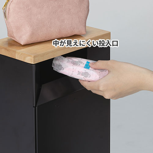 �ƥ��� ���˥��꡼�����ܥå��� �����Х󥰥졼 DS-239-300-8 [����Բ�]