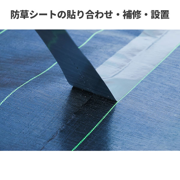 ��������� ���Υ٥å��� Dio ��̩�����𥷡����ѥơ��� 100mm x 20m �֥�å� 253376