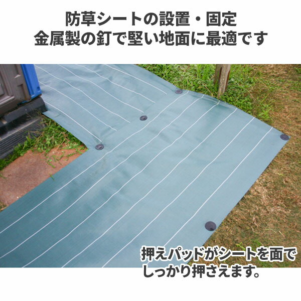 イノベックス Dio 防草シート用 押さえ釘 (パッドセット) 20cm(50本入) 819-4884 2...