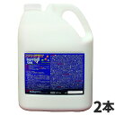 横浜油脂工業 Linda スーパーハードコートエース 4kg 2本入 4346