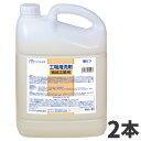 ミッケル化学 工場用洗剤 食品工業用 5L 2本入 194070