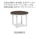 【ガーデン用品】サンレノテーブル100 (テラモト MZ-593-000-4)(ガーデン用品 学校 工場 激安)