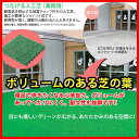 つなげる人工芝 ユニットターフ アルファ300 業務用 【150×300mm】(テラモト MR-001-074) (施工が簡単なジョイント式 激安)