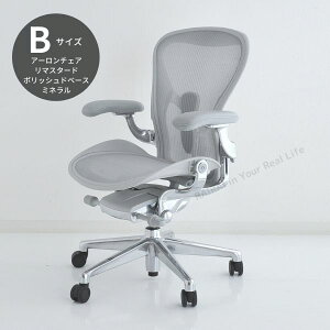 ハーマンミラー アーロンチェア リマスタード ミネラルフレーム ポリッシュベース Bサイズ AER-06 Herman Miller Aeron Chairs Remastered DC1キャスター AER1B23DFALPVPRCDCDDC1231012118【送料無料】_dp05