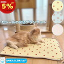 【 5%OFFクーポンあり 】冷感 ひんやり クール 夏 涼しい ブランケット マット シーツ 猫 ベッド 犬 ベッド 冷たい 暑さ対策 ふわふわ ペットベ...