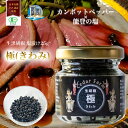 【15日限定ポイント10倍】塩漬け生胡椒 25g 能登の塩 黒の衝撃 生胡椒 生コショウ カンポットペッパー 胡椒の実 有機 業務用 有機JAS認証 粒コショウ 粒胡椒 高級調味料 料理 ブラックペッパー 黒こしょう 黒胡椒 生胡椒の塩漬け スパイス 美味しい カンボジア産 日本品質