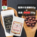 【30日限定ポイント10倍】塩漬け生胡椒 黒胡椒 赤胡椒 生胡椒 60g 乾燥胡椒 20g セット カンポットペッパー フレッシュ 生粒胡椒 生粒コショウ 黒いダイヤモンド ブラックペッパー 生コショウ 調味料 料理 生こしょう スパイス 行列のできる相談所 石原良純 CedarFarm