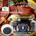【スーパーSALE限定50%OFF】 塩漬け生胡椒 60g 能登の塩 黒の衝撃 生コショウ カンポットペッパー ブラックペッパー 黒コショウ 黒胡椒 業務用 有機JAS認証 有機調味料 生こしょうの塩漬け 塩漬け胡椒 粒コショウ 瓶詰め スパイス カンボジア産 生胡椒の塩漬け