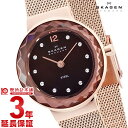 【4月1日限定！店内最大ポイント40倍！】 SKAGEN スカーゲン レディース 腕時計 クラシック 456SRR1 腕時計 時計【あす楽】 その1