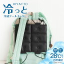冷感 クールキャリー S リュック ランドセル 用 背中 クールダウン ひんやりクッション 冷却クッション 冷感パック シートクーラー クールクッション 28℃...