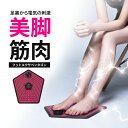 ems 足 乗せるだけ トレーニング効果 フィットネス エクササイズ 足トレ 美脚 ふくらはぎ すね 足裏 トレーニング グッズ シェイプアップ 引き締め 運動...