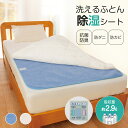 除湿シート シングル 布団 抗菌 防臭 防ダニ 防カビ 丸洗い ウォッシャブル 夏 ニオイ 寝汗 吸収 湿気 対策 吸湿 除湿 快眠グッズ 押し入れ 収納 敷く...