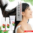 シャンプー 美容室専売 プレゼント 男性 女性 実用的 メンズ サロン専売品 サロン ノンシリコン シャンプー トリートメント セット アミノ酸 サロン専売 ヘ...