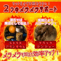 メラメラサポート