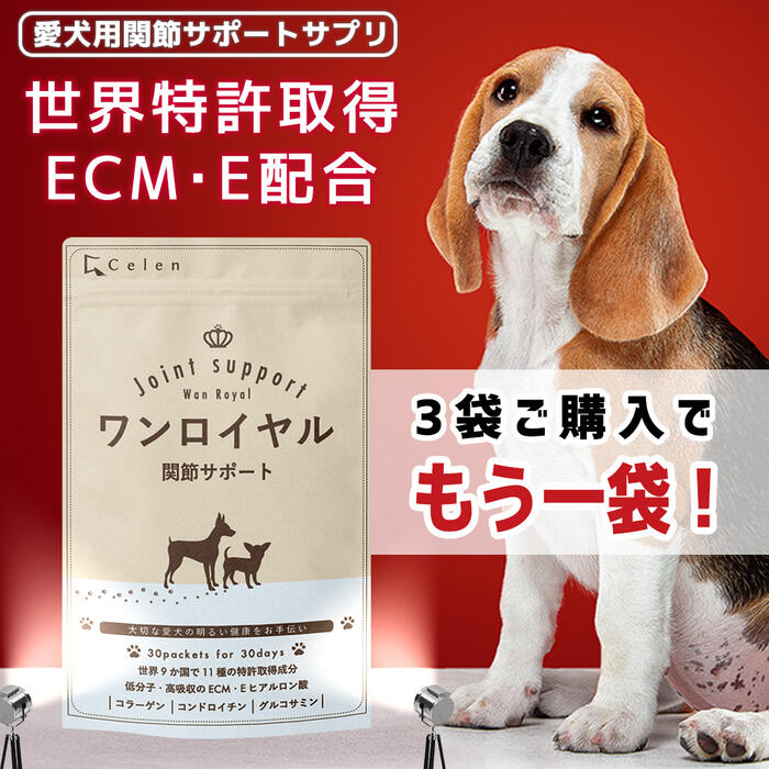 ドッグフード にかけるだけ♪Wan Royal ワンロイヤル 関節 サポート 犬 サプリ 犬 関節 サプリメント 皮膚 毛並み 骨 グルコサミン コンドロイチン シニア ペット エイジングケア