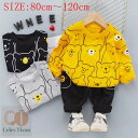 子供服 男の子 女の子 上下セット ジュニア 秋 春 冬 1歳 2歳 3歳ベビー服 上下セット 子供服 男の子 女の子 80 90 100 110 120 セッ...