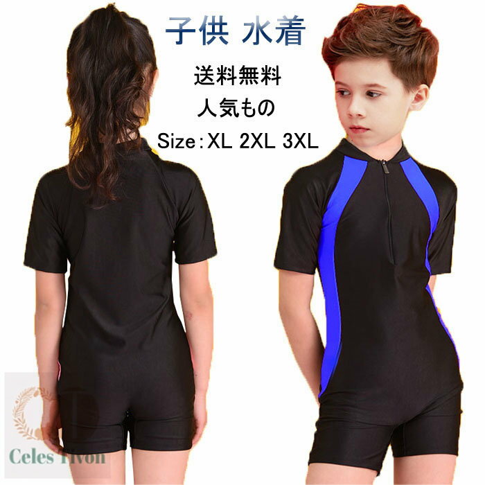 celestivon㤨̵֡  å Ҷ  ˤλ λ 4  Ⱦµ ѡ 륤 å奬  λ ˻ Ҷ å å  ձ  ֤ ٥ӡ 塦    ס [SizeXL-2XL-3XL]פβǤʤ1,380ߤˤʤޤ