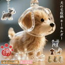 【6%OFFクーポン】2個セット ペット 遺毛 ケース 透明 15タイプ ペット 遺毛入れ 犬の毛収納ボトル ペットメモリアルボトル 犬のキーホルダー 毛を保管...