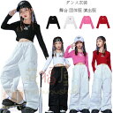 【6%OFFクーポン】ダンス衣装 キッズ へそ出し トップス 黒 白 粉 赤 長袖 Tシャツ 女の子 舞台 団体服 演出服 子供服 へそ出し Tシャツ キッズダンス hiphop K-pop 練習着 応援団 おしゃれ ダンスウェア ヒップホップ ステージ衣装 jazz 110 120 130 140 150 160 170 180