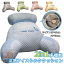 【送料無料】サイズ:70×50cm クッション 涼感 涼感アイスシルク2in1多機能クッション 涼感アイスシルククッション 椅子 クッション 腰&背中の伴侶 腰&背中にフィット 人間工学 涼しい クッション 大きい 背もたれ 腰痛対策クッション 取り外し可能