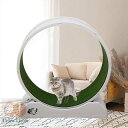 キャットホイール 猫 回し車 ロック装置内蔵 静音低ノイズ 猫専用ルームランナー 猫 ランニングホイール キャットウォーク 運動不足解消 ストレス解消 キャットランニングマシン 大型猫用 毎日の運動に グレー