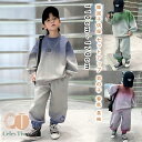 韓国子供服 セットアップ 男の子 春秋 長袖 パーカー ロングパンツ カジュアル ナチュラル ズボン 上下セット スポーツウェア カジュアル キッズ こども 可...