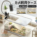【6%OFFクーポン】亀の飼育ケース 亀 水槽 大きい カメ用水槽 初心者セット 蓋付き 収納機能 水交換超簡単 餌やりが便利 透明 軽量 両生飼育箱 亀ケージ 脱出防止 亀の楽園 亀 リクガメ 半水棲ガメ ボックス 排水孔 耐久性 爬虫類 両生類用 カメ生息地 360°観察 送料無料