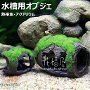 水槽 隠れ家 ウーパールーパー メダカ 魚 エビ隠れ家 苔むしたワイン樽 水槽用流木 水槽 レイアウト アクアリウム ペット用品 ペットグッズ 休憩所 金魚 水...