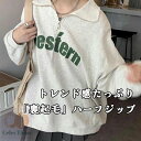 【送料無料】トレーナー レディース 小顔 ハーフジップ トップス オーバーサイズ tシャツ カットソー 裏起毛 ドロップショルダー ビッグ ジップ 大きいサイズ ゆったりトップス 重ね着 レイヤード風 体型カバー シンプル カジュアル 大きいサイズ ゆるっと