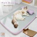 ペットベッド 枕付き ペット クッション 春夏用 クールマット 接触冷感 犬 ベッド 夏用 小型犬 中型犬 大型犬 ペット ベッド ペットベッド ペットクッション クッション ペット用クッション 犬猫兼用おふとん オールシーズン 清潔 小型犬 クールクッション