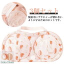 ブラジャー専用 ハンドル付き 3個セット メッシュ生地 ブラジャーネット 枠付き ドラム式 洗濯ネット 型崩れ対策 型崩れ防止 乾燥機対応 通気性 下着 手洗い不要 洗濯機 水切り 家庭用