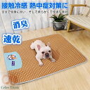 ペット用 夏用マット 犬 ひんやりマット 冷感マット 速乾 消臭 ペット用冷却マット 猫 犬 夏用 クールマット 滑り止め 折り畳み可 ペッ