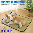 \枕付き/ 冷感マット ペット用 夏用マット 犬 ひんやりマット 速乾 消臭 ペット用冷却マット 猫 犬 夏用 クールマット 滑り止め 折り