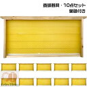 養蜂器具 10点セット 完成巣枠 巣礎付き スソ付き 巣礎 10枚 蜂の巣 蜜蜂 セイヨウミツバチ シート ラ式 ミツバチ用 養蜂設備 養蜂用具 蜂蜜箱 飼育 ...
