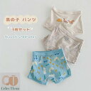 男の子 ボクサーパンツ 子供 ショーツ キッズ パンツ インナー 3枚セット ジュニア インナー 下着 恐竜柄 シンプル 子供服 短パン ボーイズ 幼児 小学生...