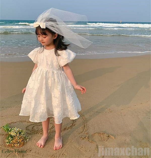  ڹ Ҷ ԡ ٥ӡ Ⱦµ ѥե꡼ ȥåץ  İ ä 奢