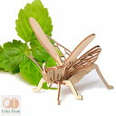在庫限り 全8種類セット 3D 立体 木製 昆虫パズル 夏休み 自由研究 昆虫 虫 標本 図鑑 迫力満点 簡単 DIY 木製玩具 知育玩具 おもちゃ パズル プ...
