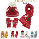 豪華なサンタ帽子(手袋+帽子+マフラー) 【 サンタ コスプレ 大人用 ハット 変装グッズ クリスマス 仮装 小物 かぶりもの