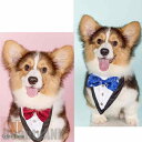 新生活 ペット用スタイ 小型犬 猫 首飾り チョーカー 三角巾 小型犬 中型犬 アクセサリー おしゃれ フリル レース おめかし 写真撮り道具 記念日フォト ゴ...